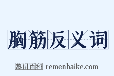 胸筋反义词是什么意思的图片